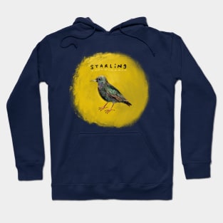 Starling Hoodie